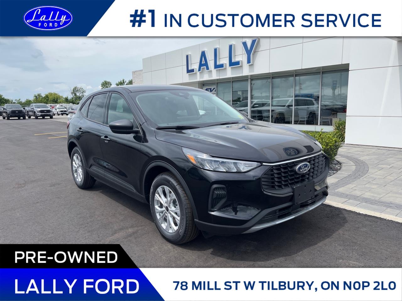 Used 2025 Ford Escape Active for sale in Tilbury, ON