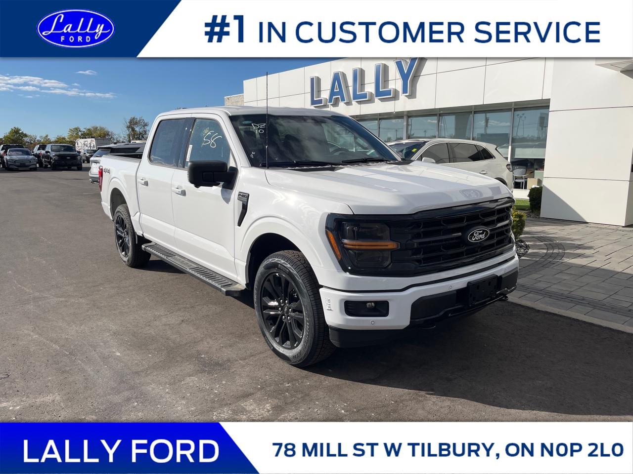 2025 Ford F-150 XLT Photo0