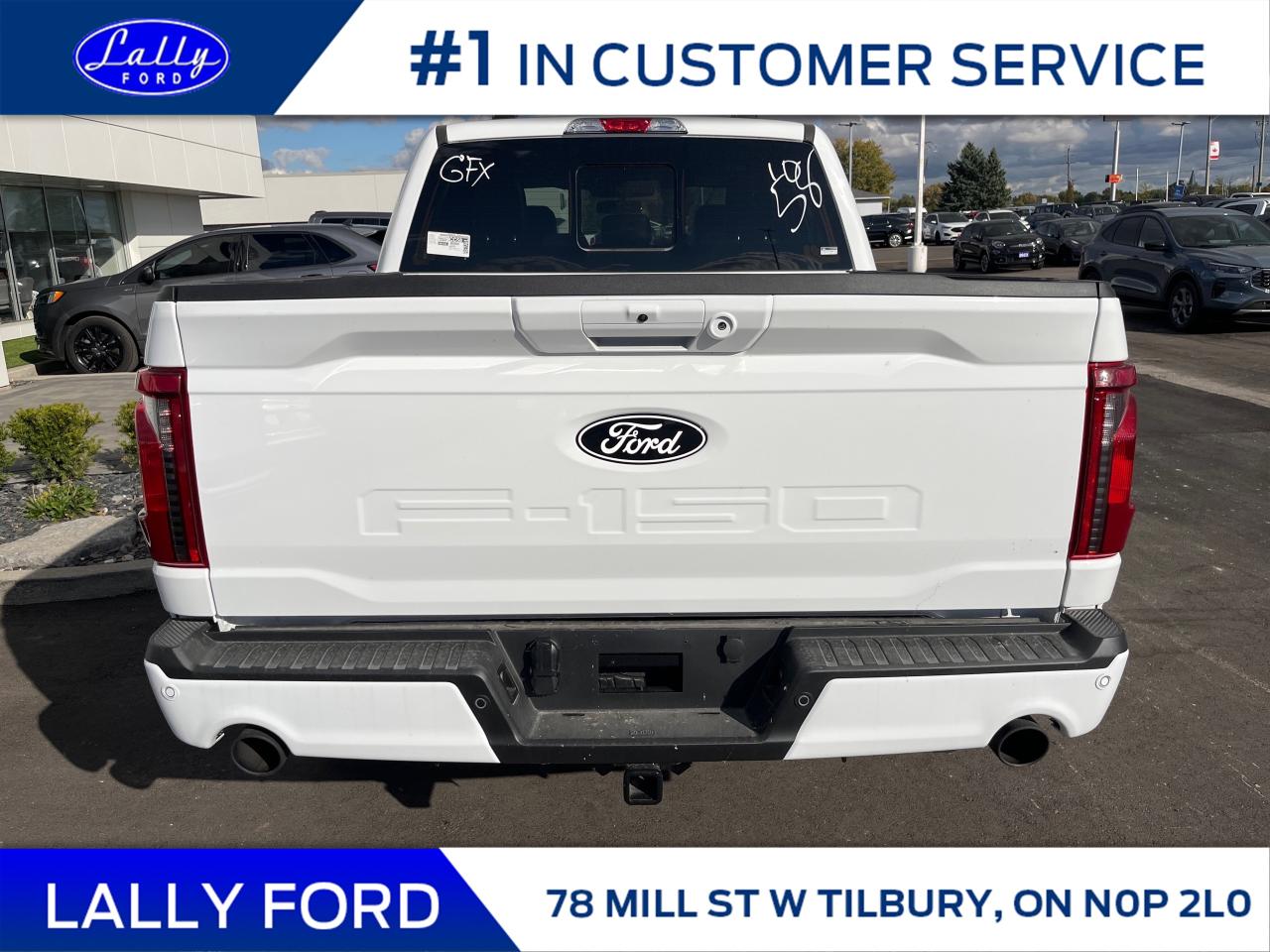 2025 Ford F-150 XLT Photo