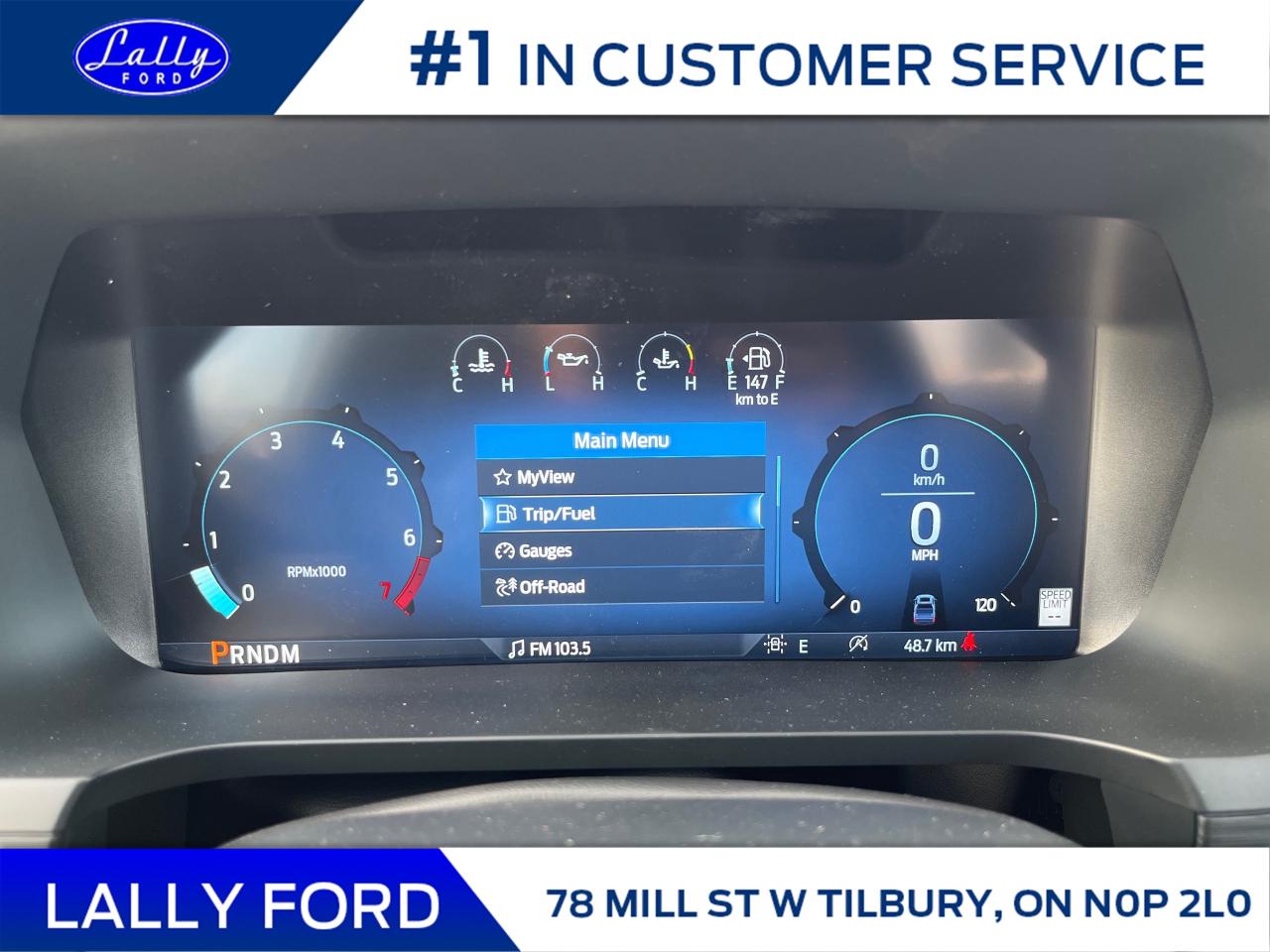 2025 Ford F-150 XLT Photo