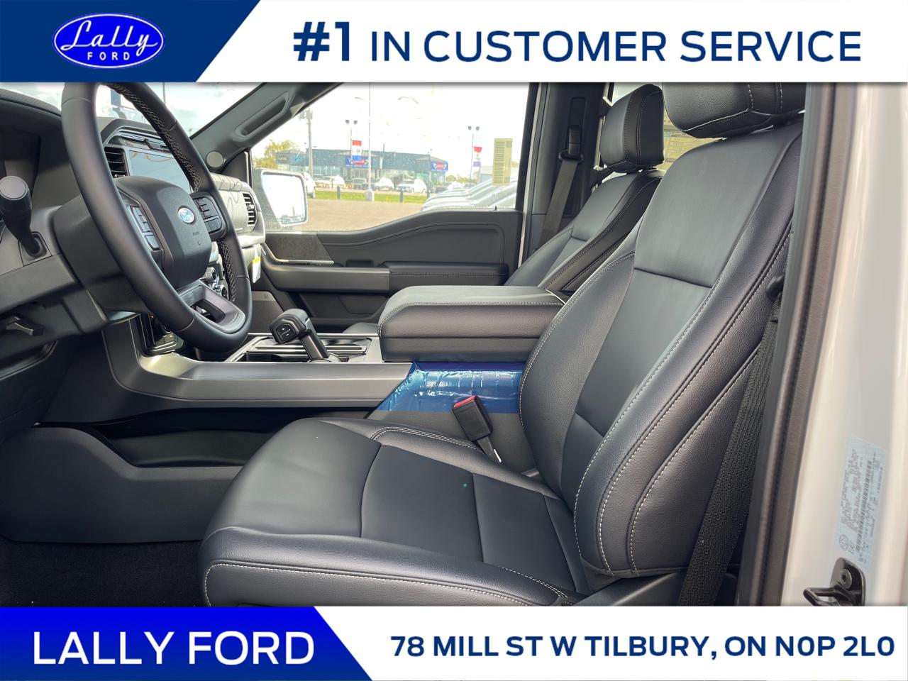 2025 Ford F-150 XLT Photo