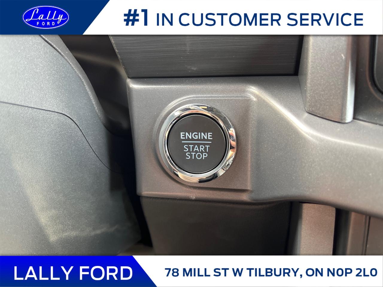 2025 Ford F-150 XLT Photo