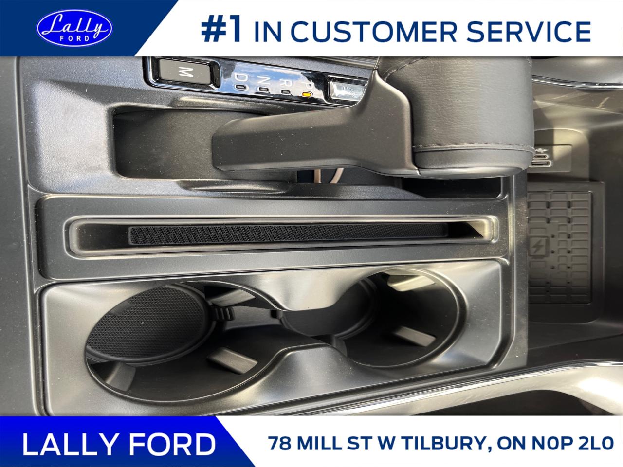 2025 Ford F-150 XLT Photo