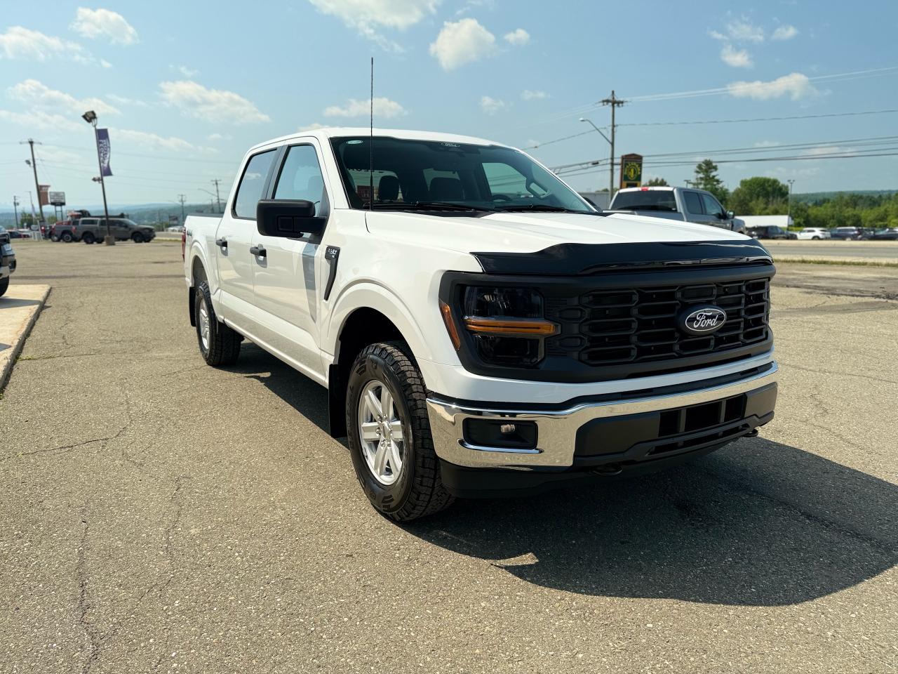 2025 Ford F-150  Photo1