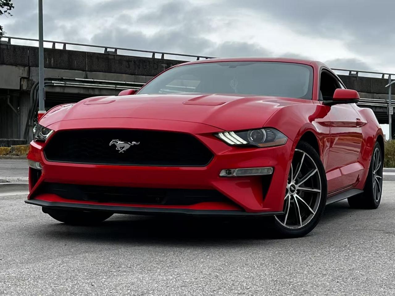 Used 2019 Ford Mustang EcoBoost Premium/ NO ACCIDENT/ LOW KM for sale in Richmond, BC