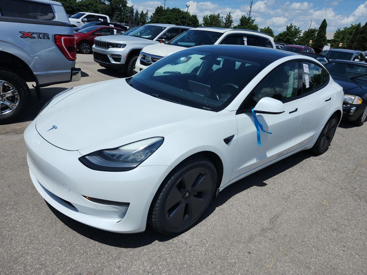 Used 2021 Tesla Model 3 SR PLUS Pearl White Pano Roof / Blind Spot Cam / Leather for sale in Mississauga, ON