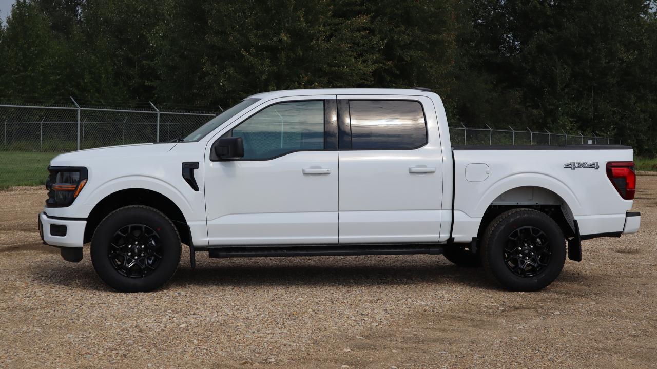 2025 Ford F-150 XLT Photo4
