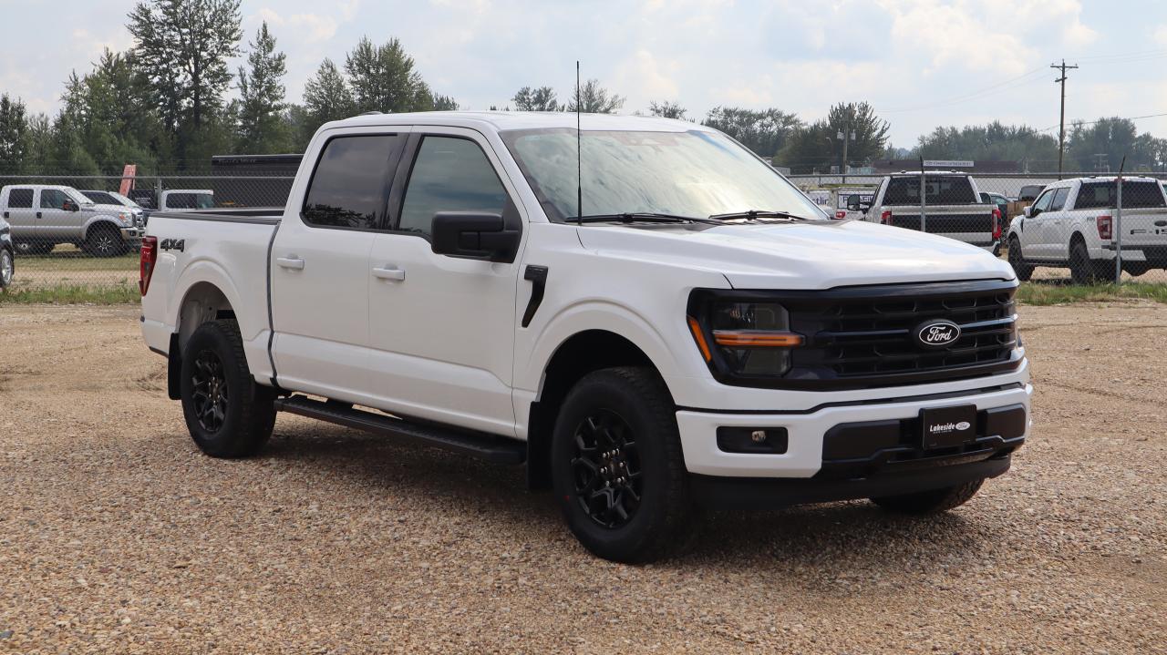 2025 Ford F-150 XLT Photo