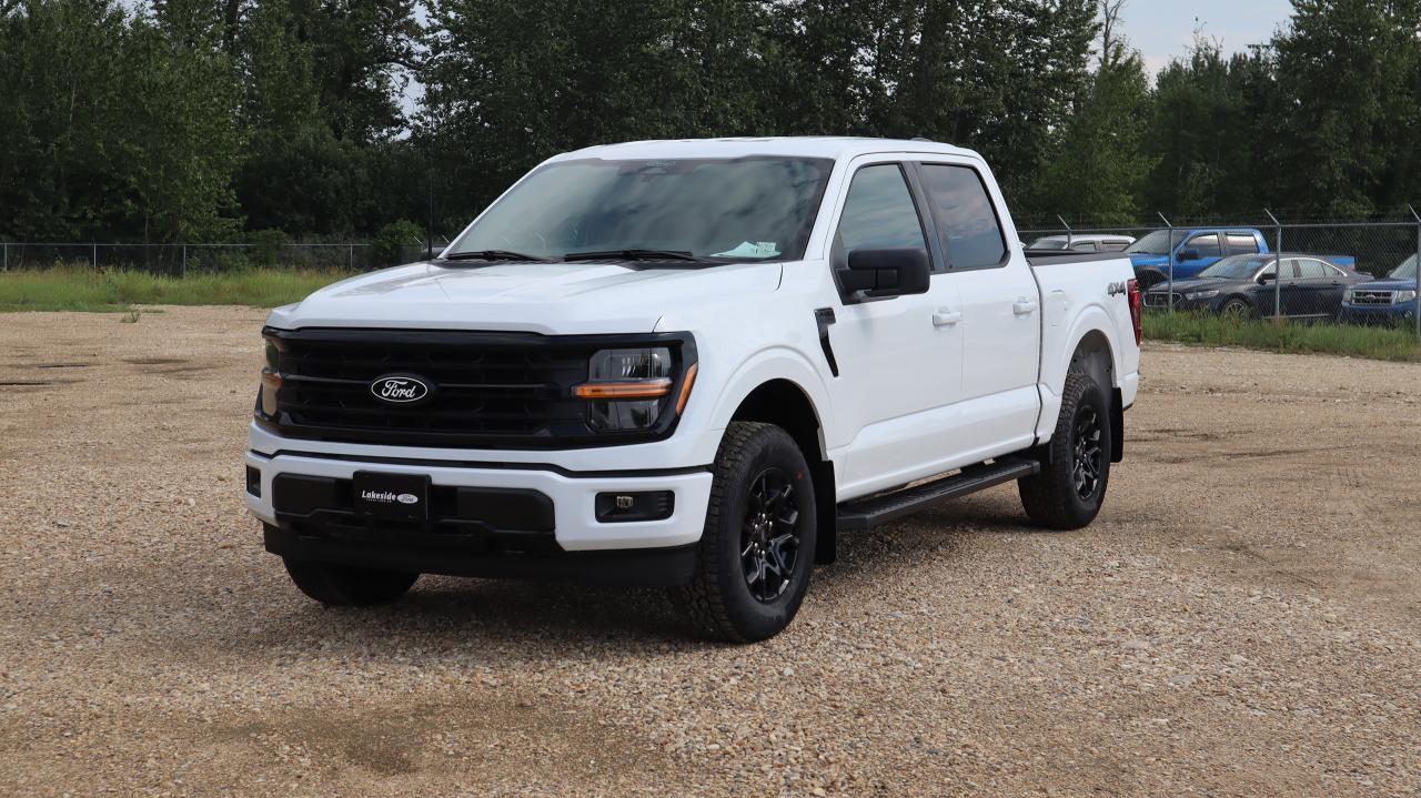 2025 Ford F-150 XLT Photo