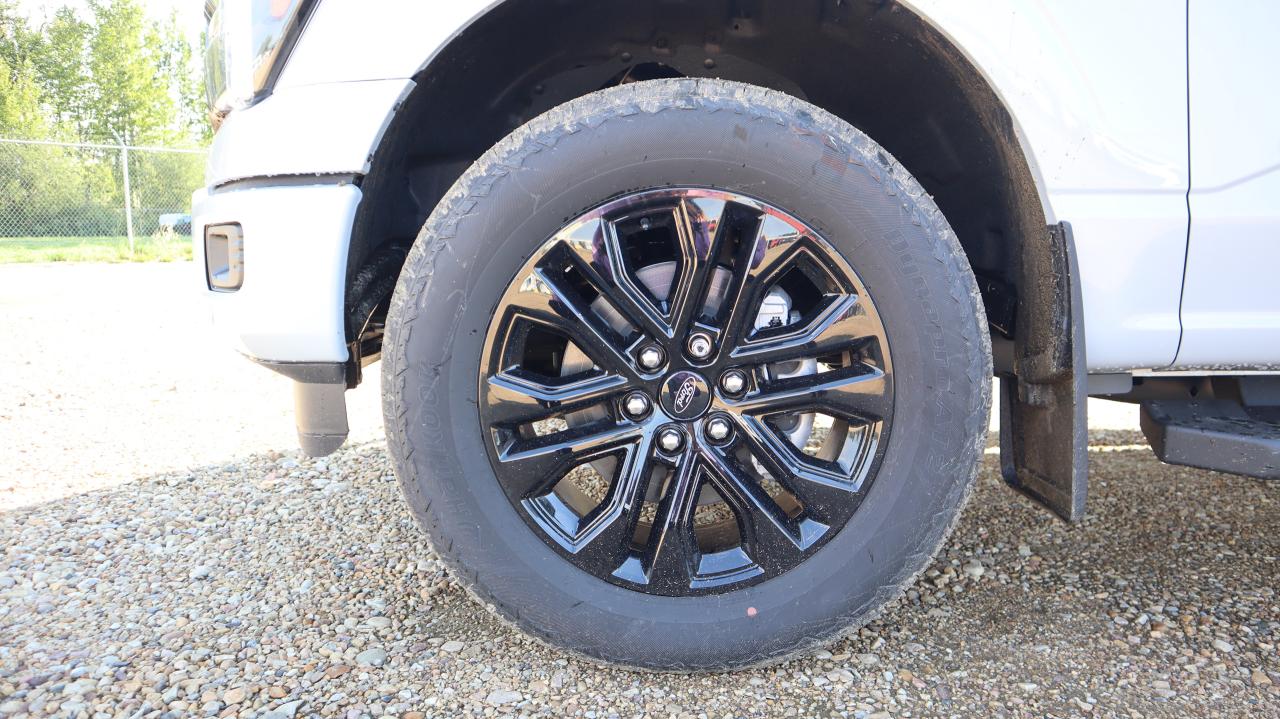 2025 Ford F-150 Lariat Photo5