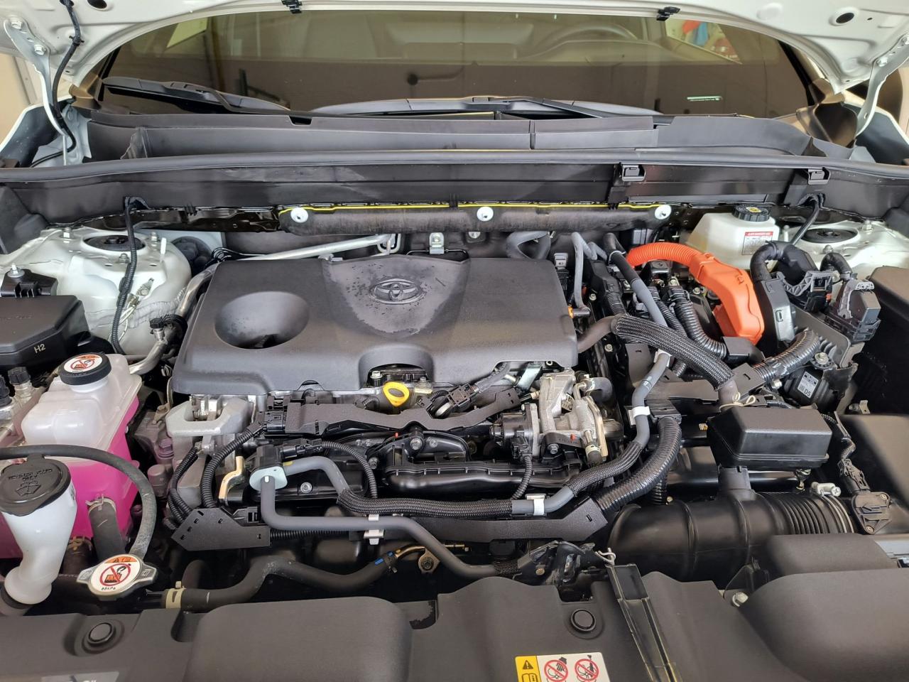 2021 Toyota Venza LIMITED AWD Photo2