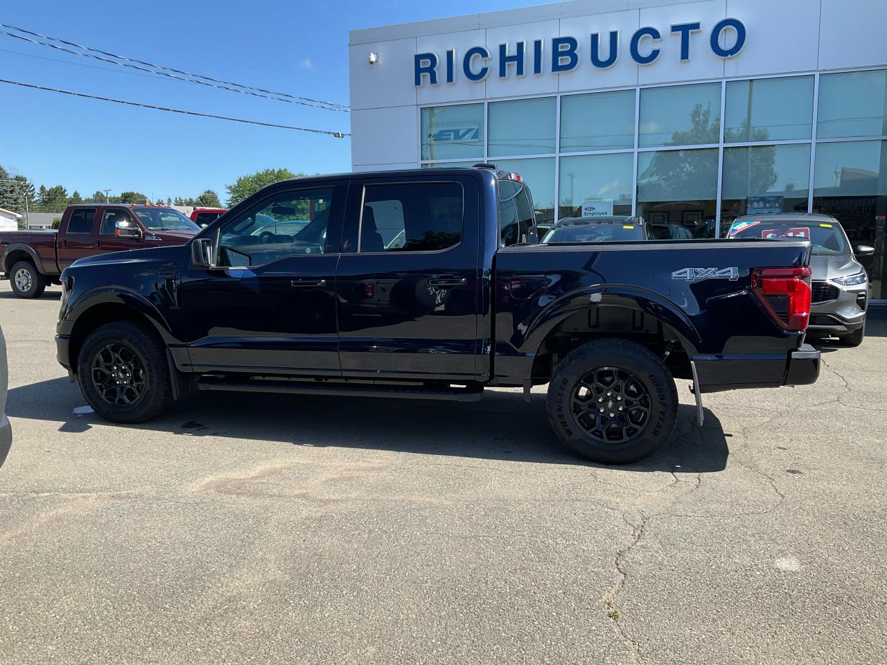 2025 Ford F-150 XLT Photo