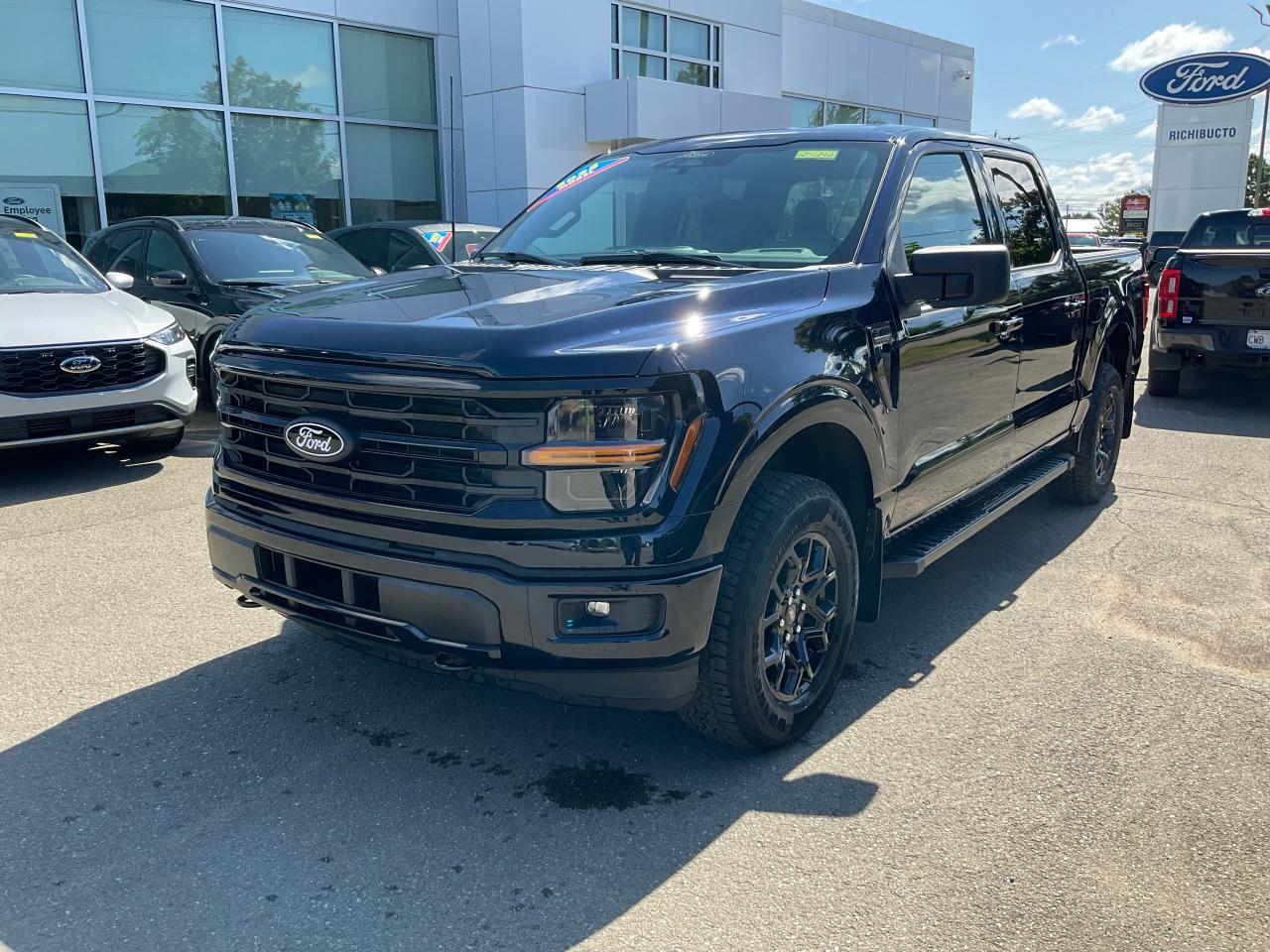 2025 Ford F-150 XLT Photo0