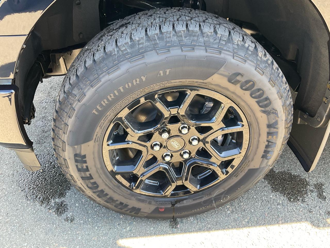 2025 Ford F-150 XLT Photo5