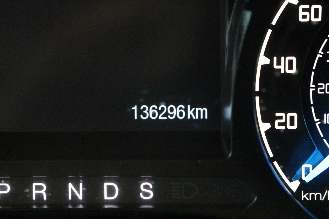 12690423