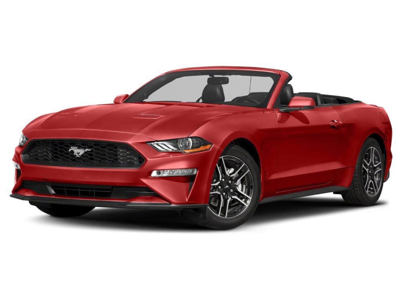 Used 2019 Ford Mustang EcoBoost Premium for sale in Oakville, ON