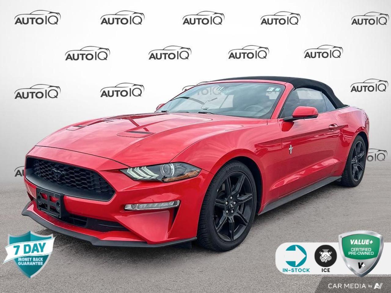 Used 2019 Ford Mustang EcoBoost Premium for sale in Oakville, ON