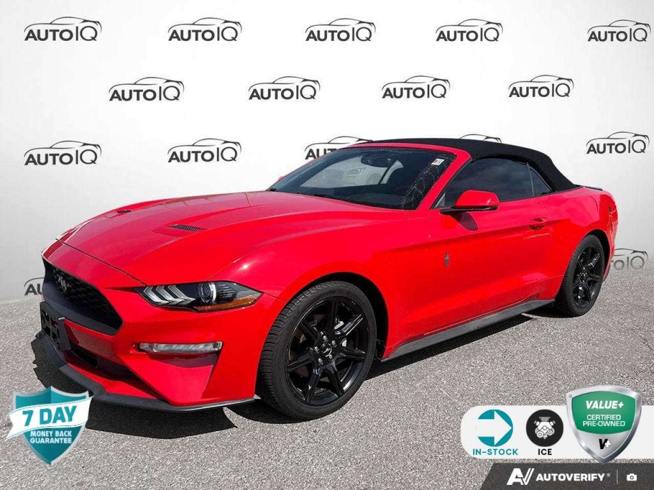 Used 2019 Ford Mustang EcoBoost Premium 200A | BLACK ACCENT PKG for sale in Oakville, ON