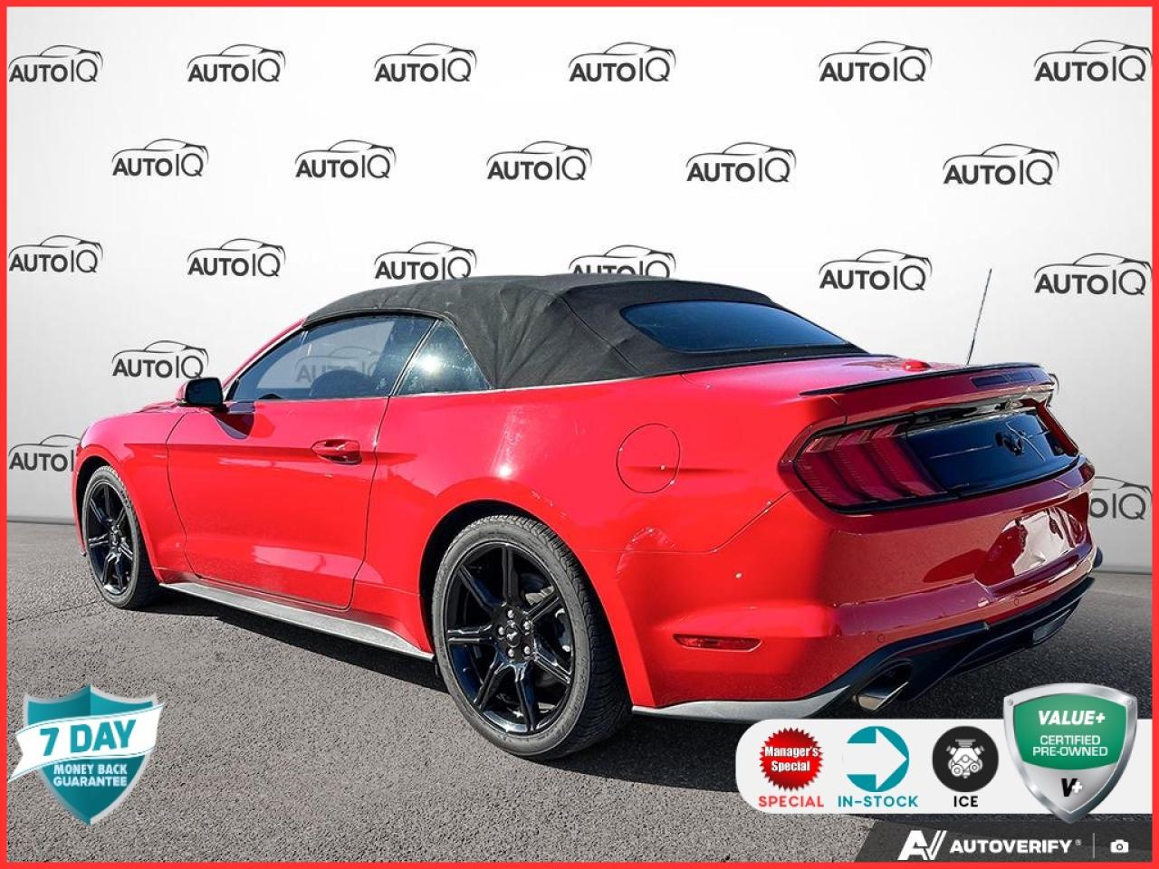 2019 Ford Mustang EcoBoost Premium 200A | ACCIDENT FREE | BLACK ACCENT PKG Photo3