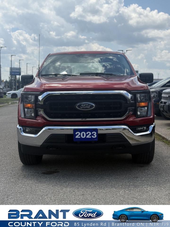 Used 2023 Ford F-150 |JUST ARRIVED!|WOW!|20K| for sale in Brantford, ON