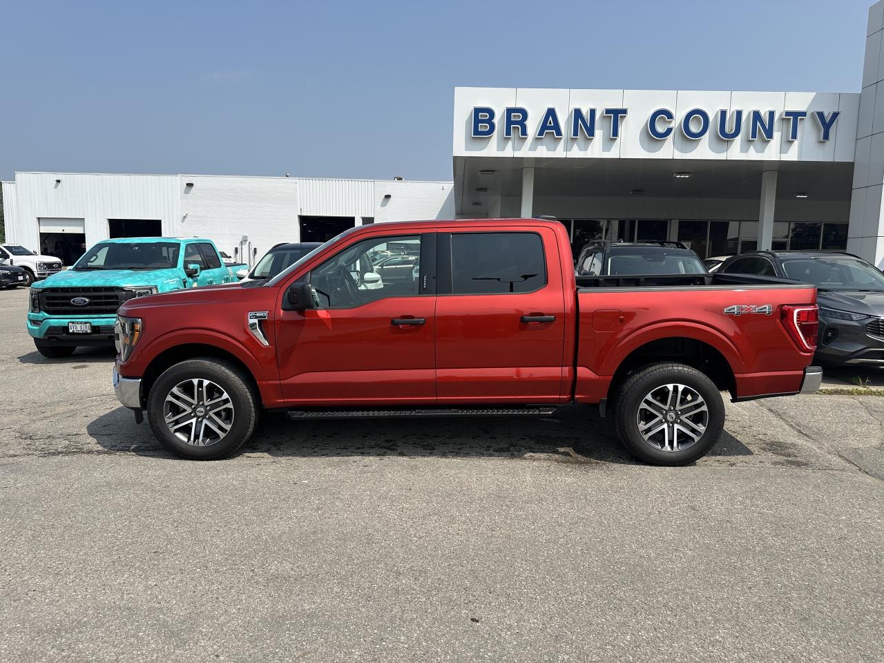 2023 Ford F-150 |XLT|4X4|WOW!|20K| Photo