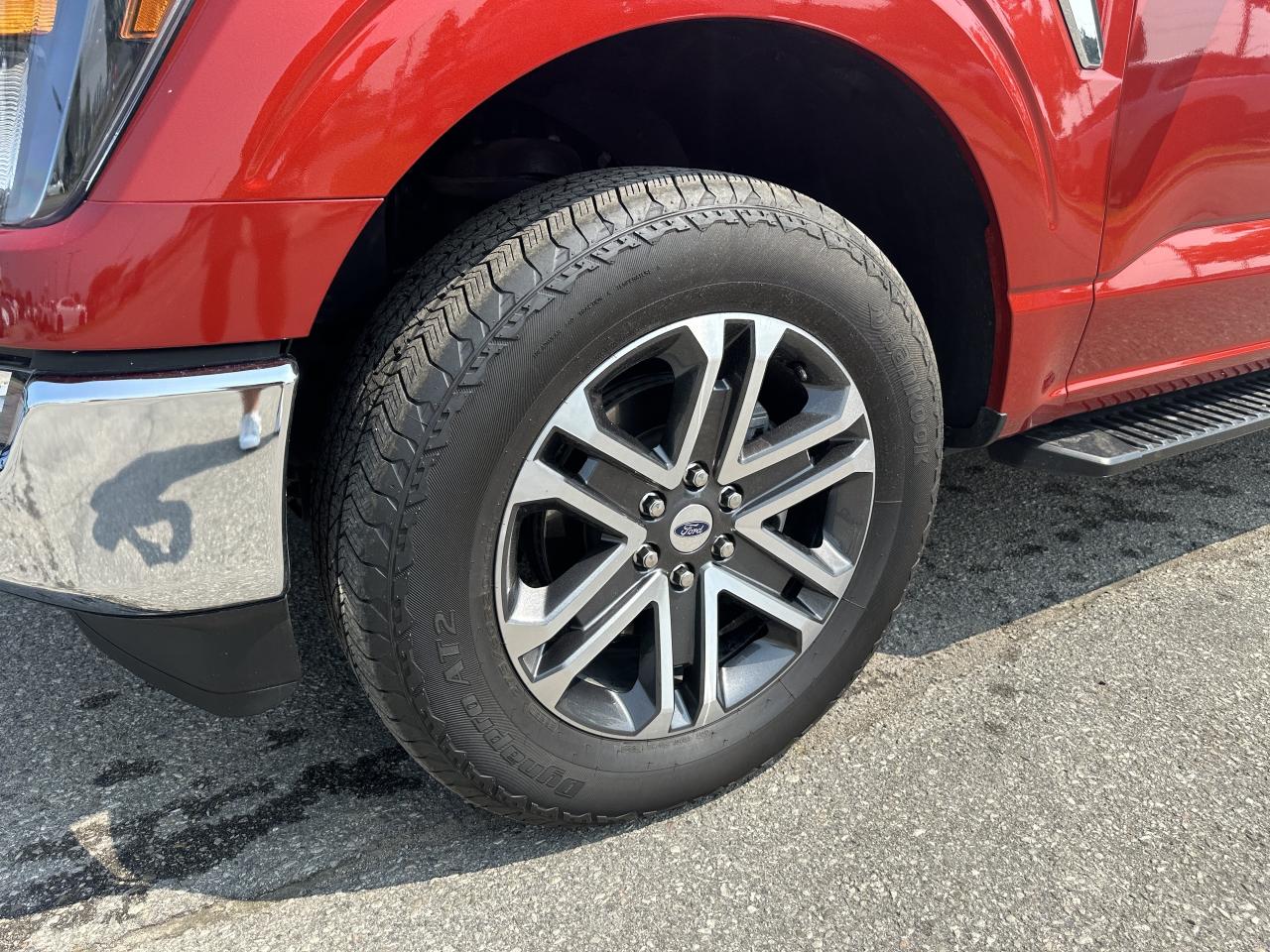 2023 Ford F-150 |XLT|4X4|WOW!|20K| Photo