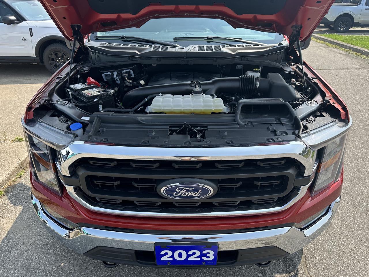 2023 Ford F-150 |XLT|4X4|WOW!|20K| Photo