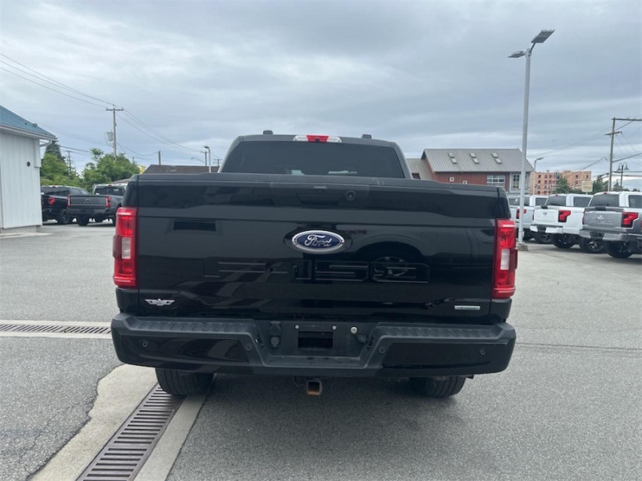 2021 Ford F-150 XLT  - Tailgate Step Photo3