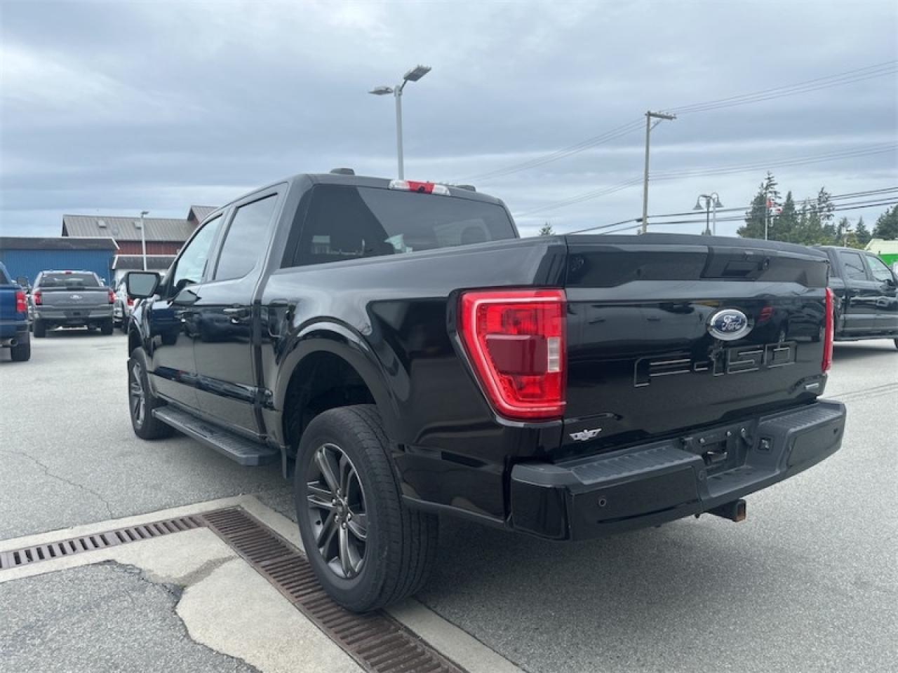 2021 Ford F-150 XLT  - Tailgate Step Photo5