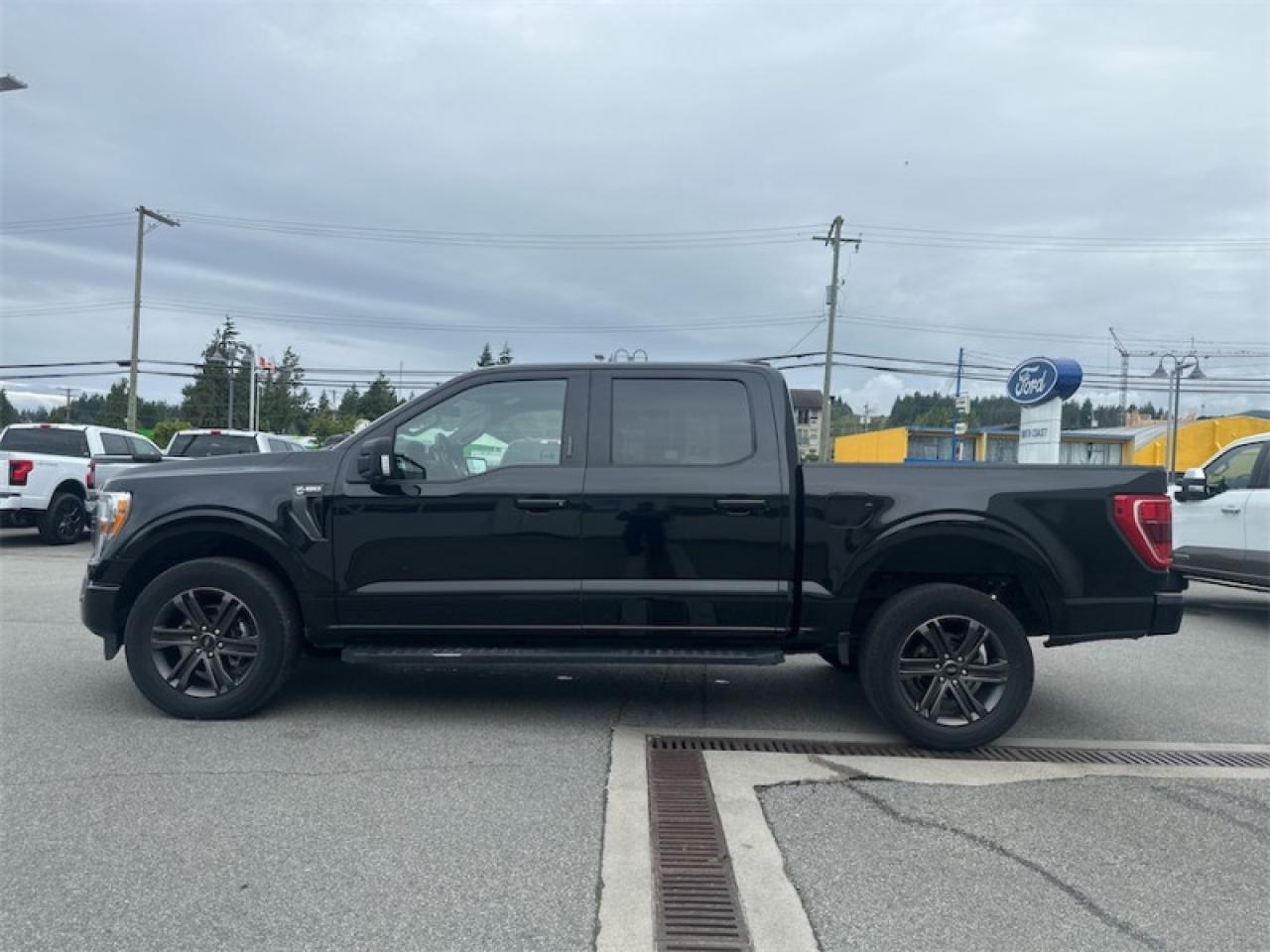 2021 Ford F-150 XLT  - Tailgate Step Photo5