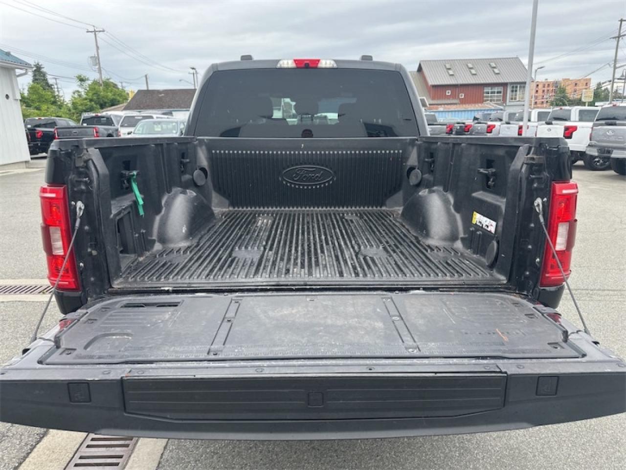 2021 Ford F-150 XLT  - Tailgate Step Photo5