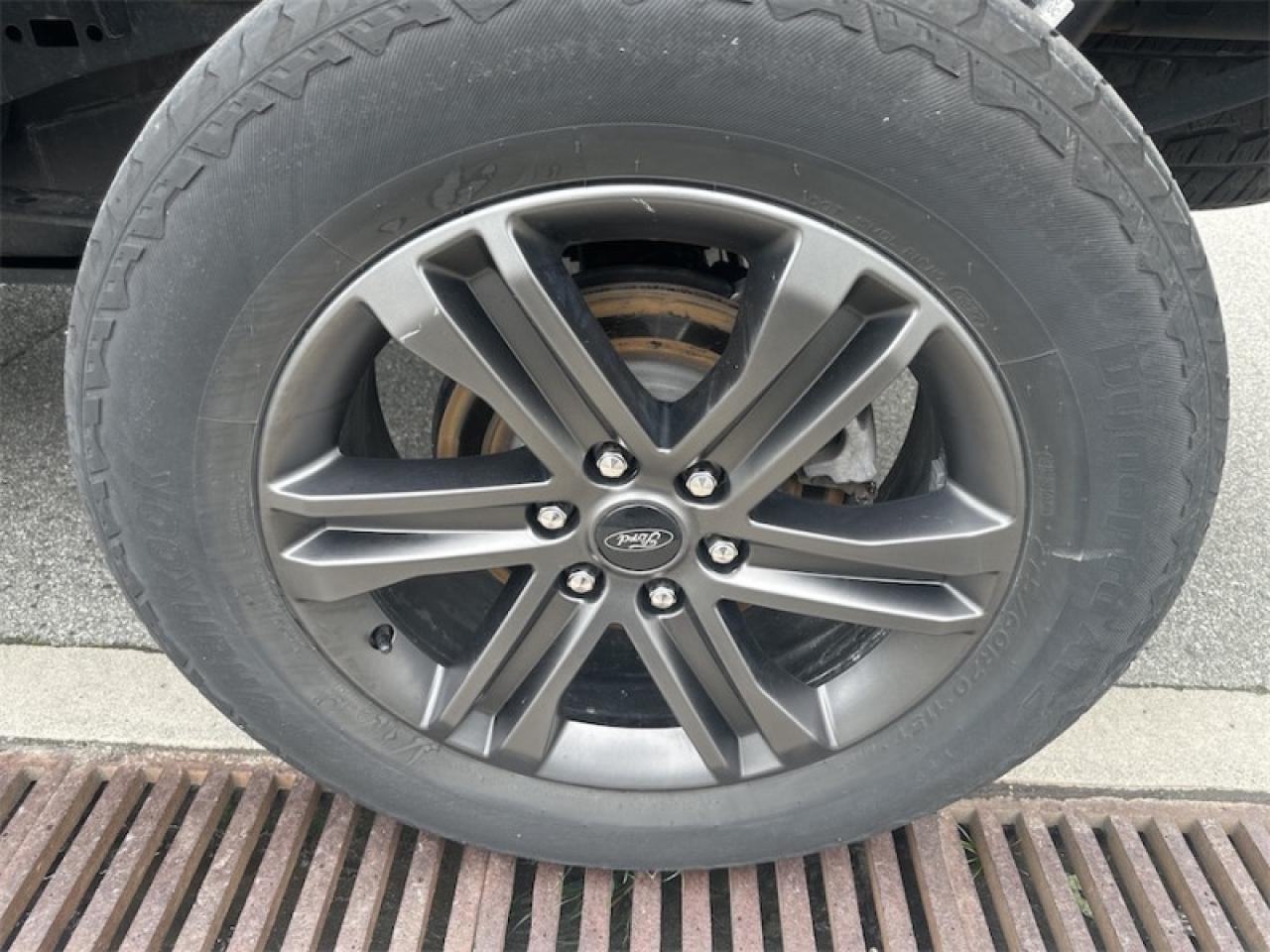 2021 Ford F-150 XLT  - Tailgate Step Photo5