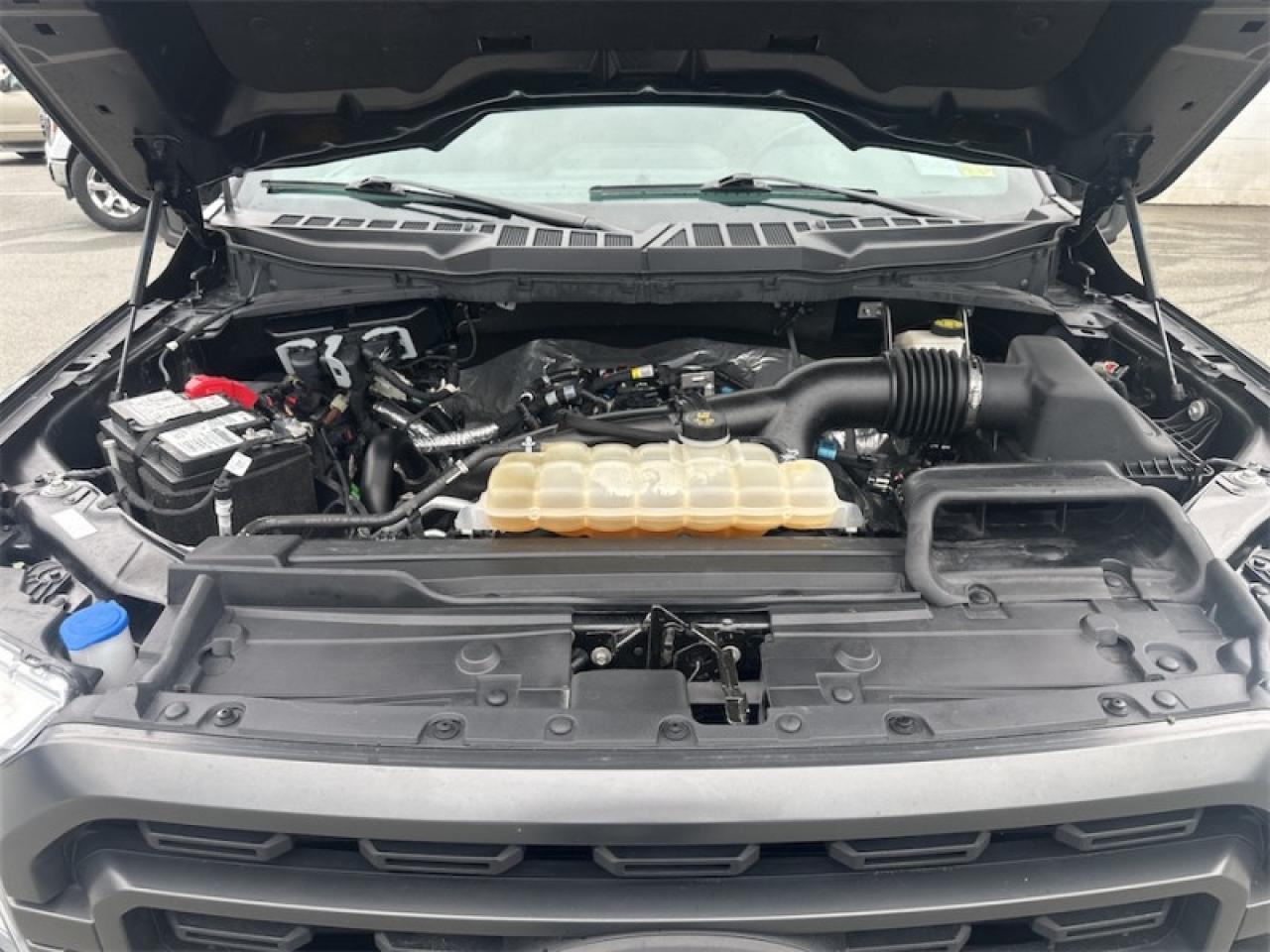 2021 Ford F-150 XLT  - Tailgate Step Photo5