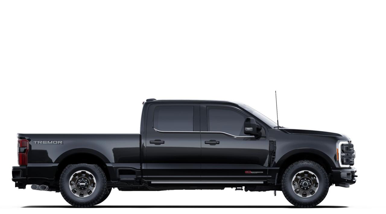 2025 Ford F-350 Super Duty SRW PLATINUM 4WD Crew Cab 6.75' Box 713A Photo4