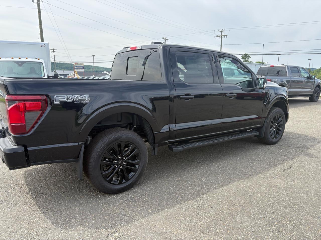 2025 Ford F-150  Photo
