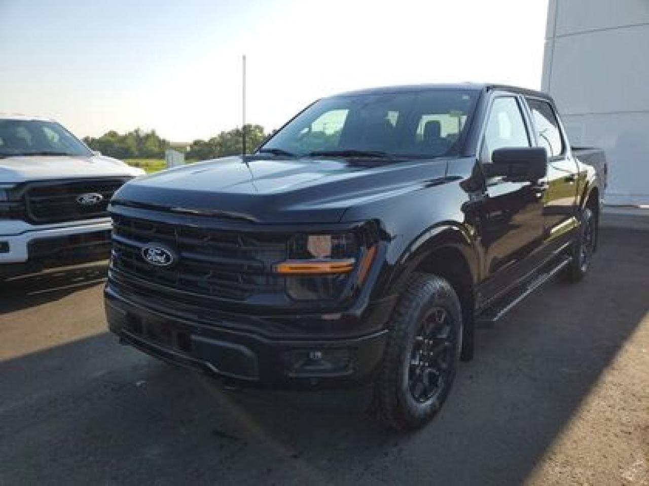 New 2025 Ford F-150 XLT W/ REAR VIEW CAMERA for sale in Moose Jaw, SK