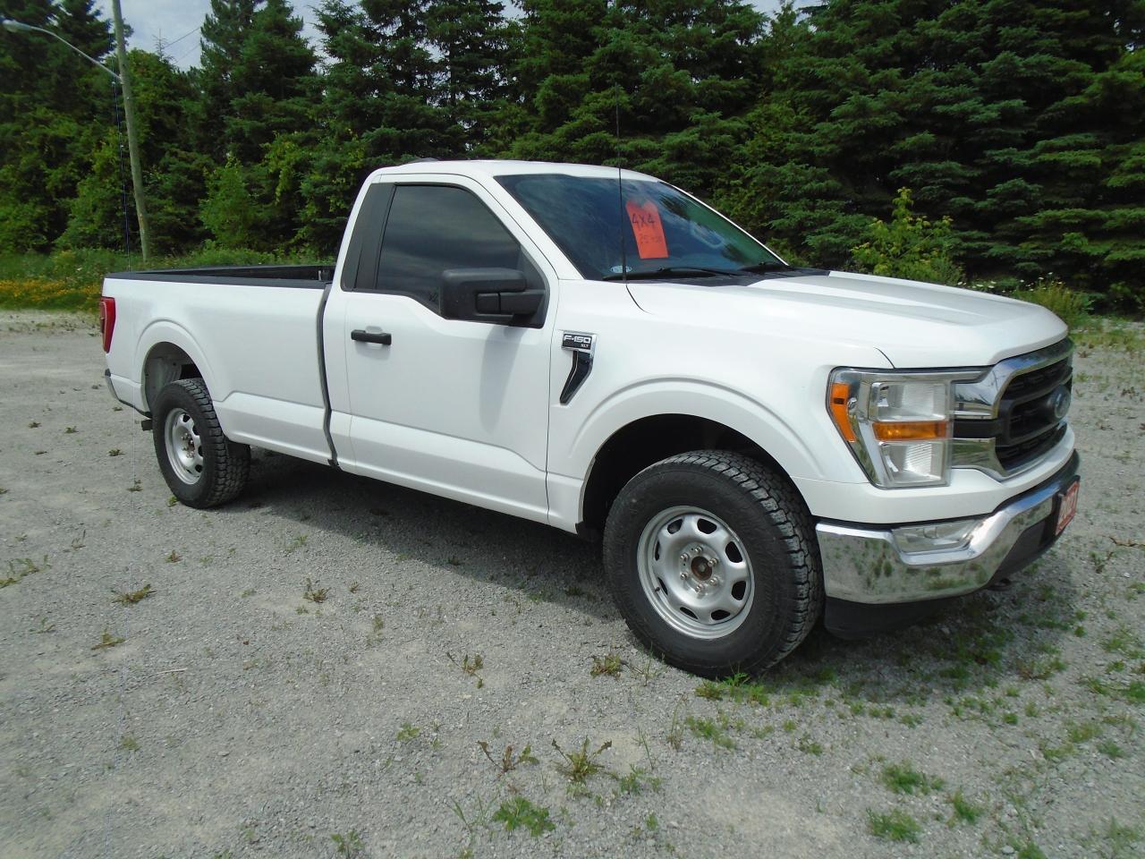 Used 2021 Ford F-150 XLT REG CAB 4X4 8 FOOT BOX for sale in Beaverton, ON
