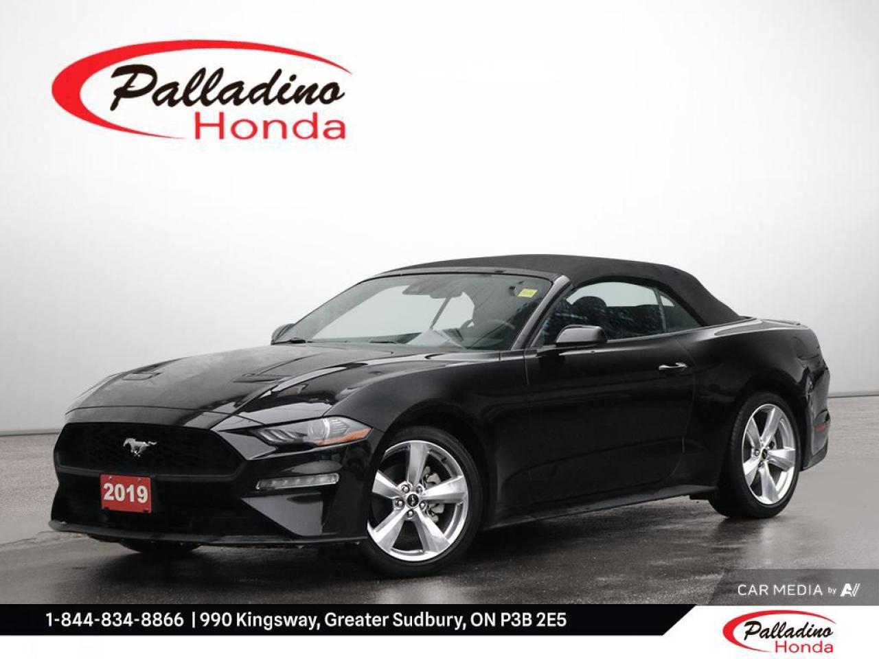 Used 2019 Ford Mustang EcoBoost for sale in Greater Sudbury, ON