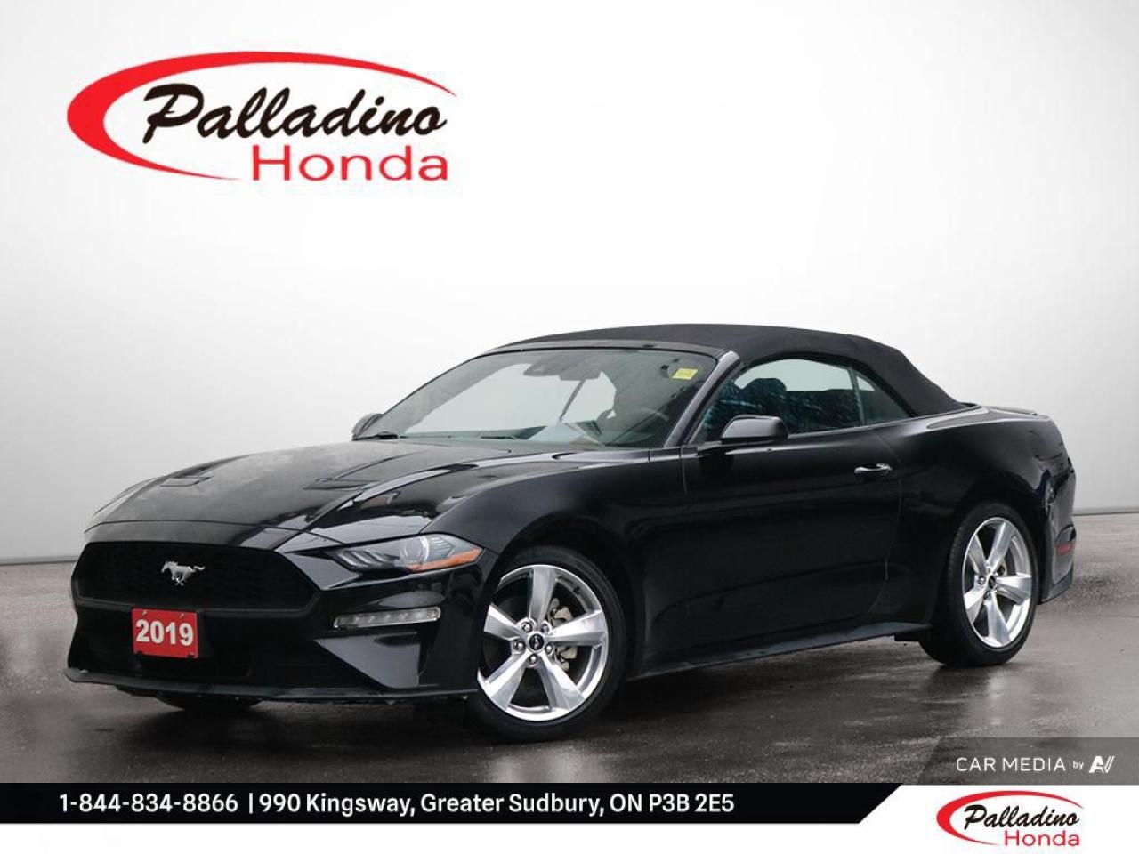 Used 2019 Ford Mustang EcoBoost for sale in Greater Sudbury, ON