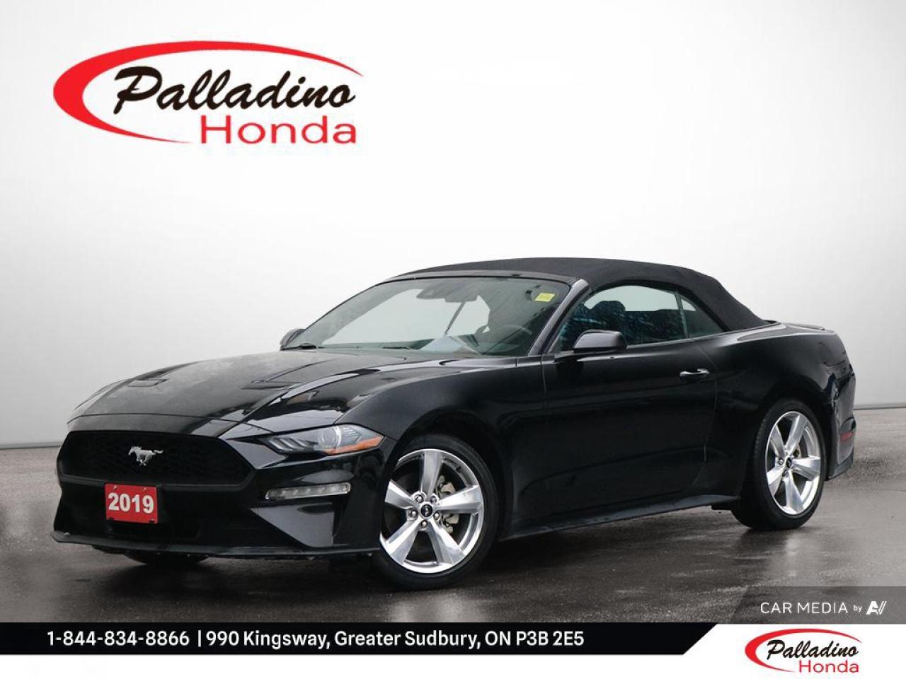 Used 2019 Ford Mustang EcoBoost for sale in Greater Sudbury, ON