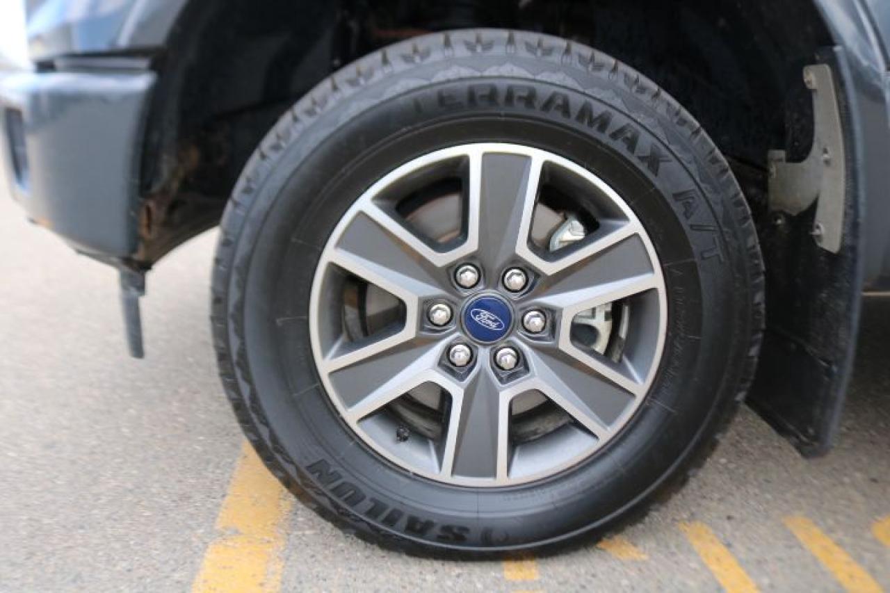 2017 Ford F-150  Photo2