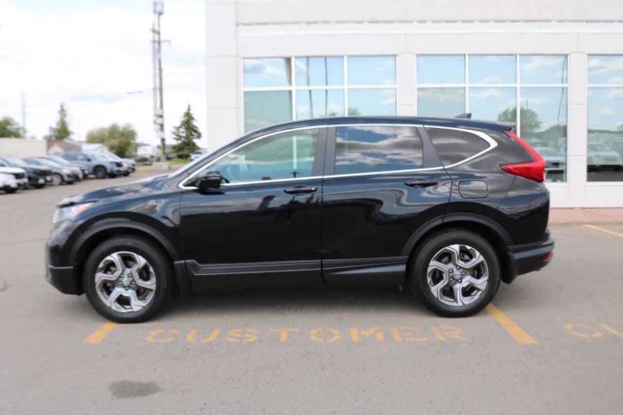 2019 Honda CR-V EX-L AWD Photo1