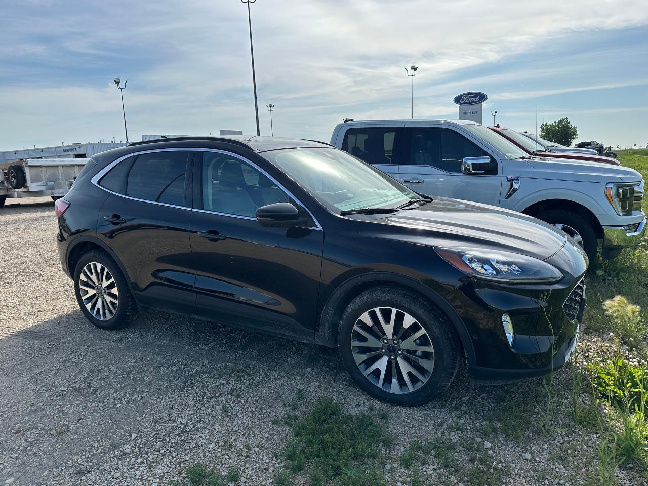 2020 Ford Escape Titanium Hybrid Photo3