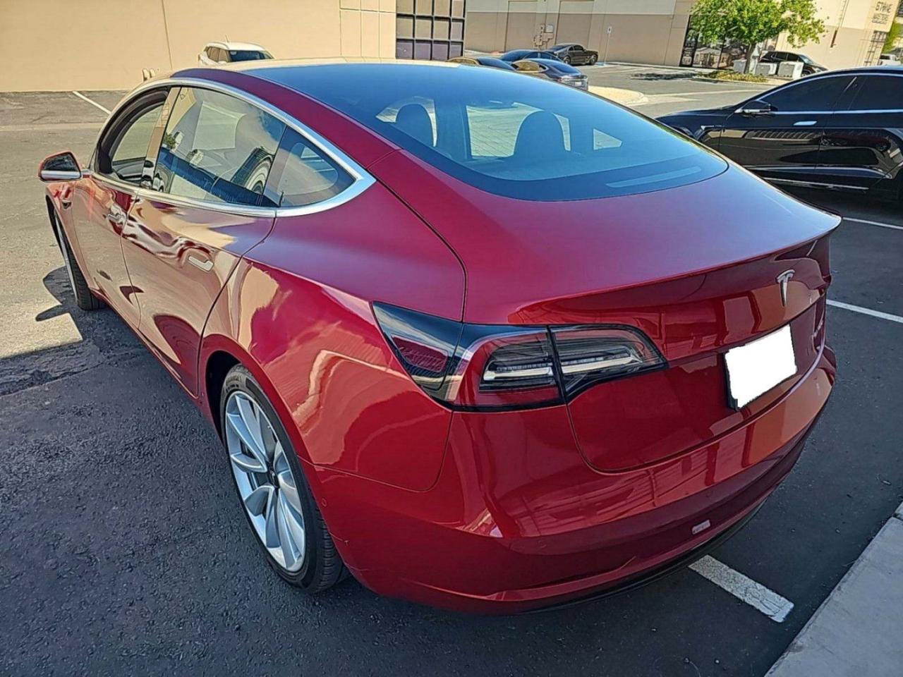 12695118