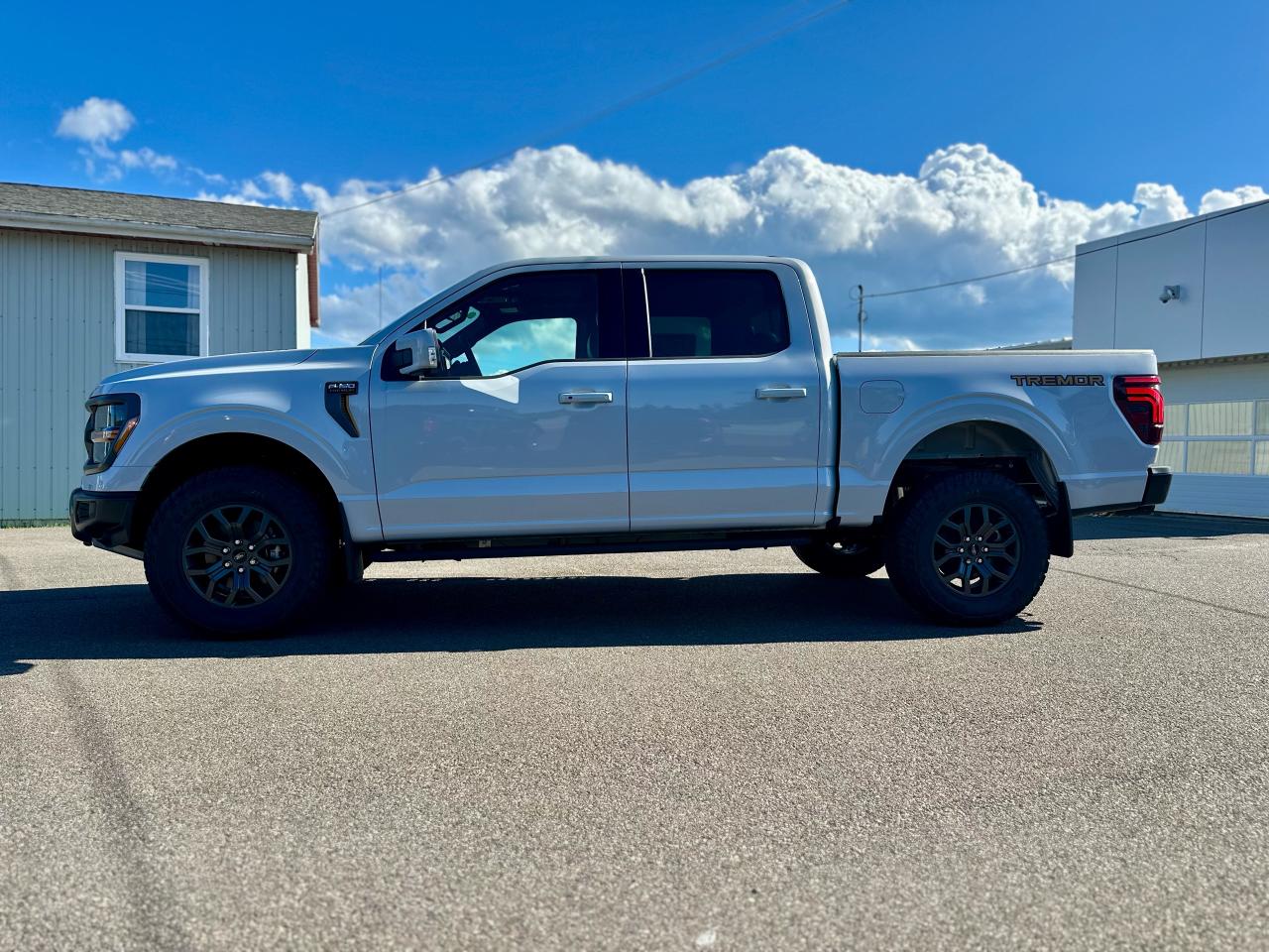 2025 Ford F-150 Tremor 4WD SuperCrew 5.5' Box Photo5