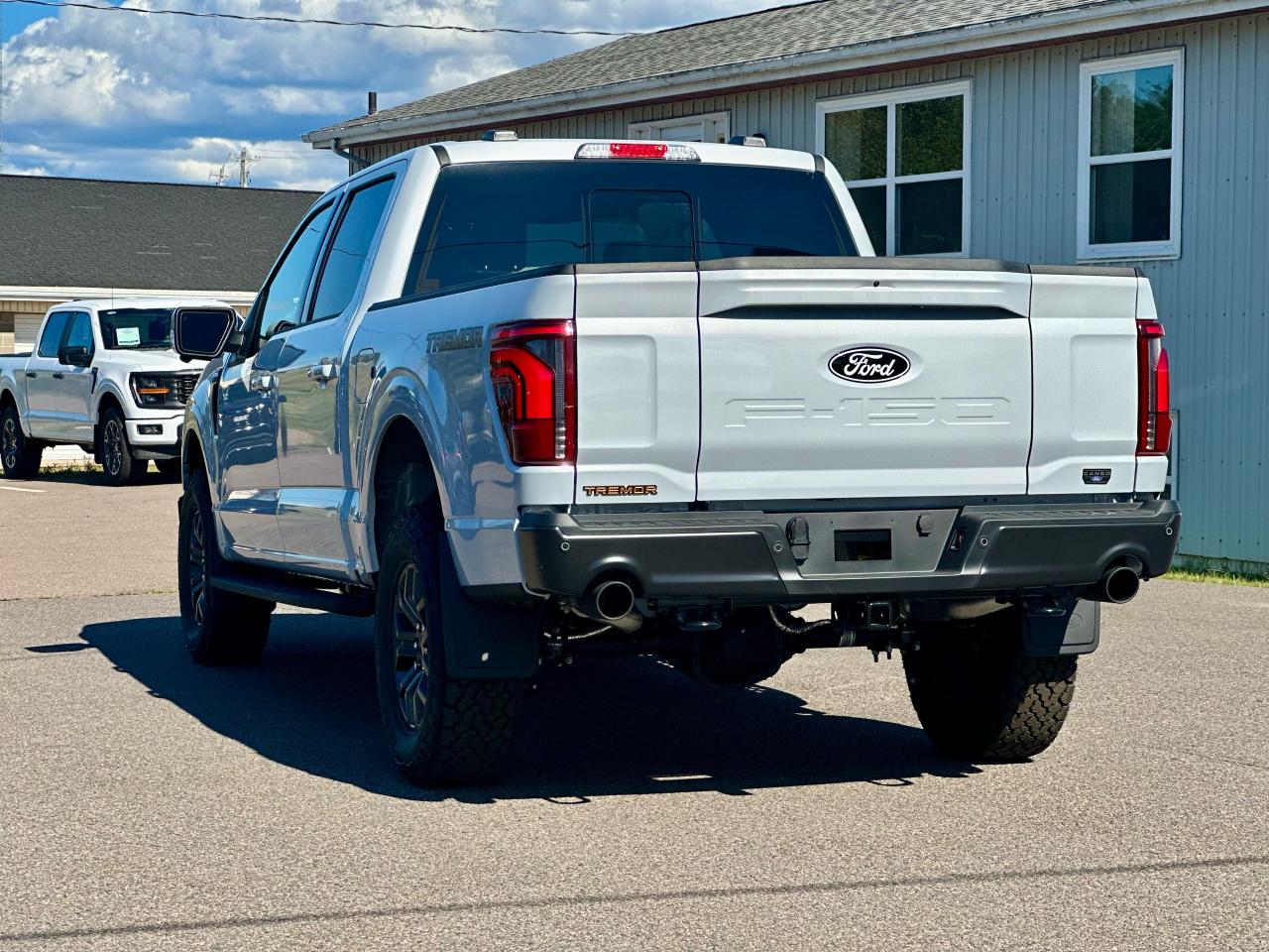 2025 Ford F-150 Tremor 4WD SuperCrew 5.5' Box Photo4