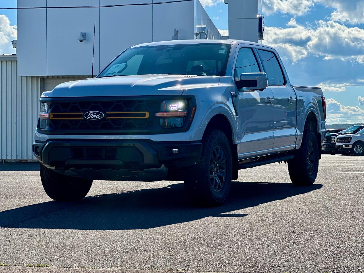 2025 Ford F-150 Tremor 4WD SuperCrew 5.5' Box Photo5