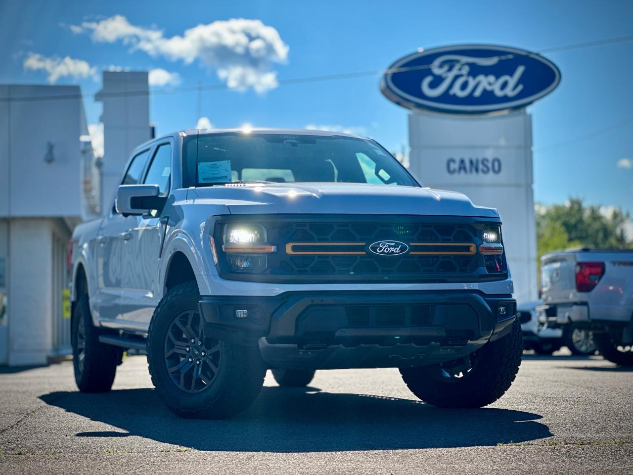 2025 Ford F-150 Tremor 4WD SuperCrew 5.5' Box Photo0