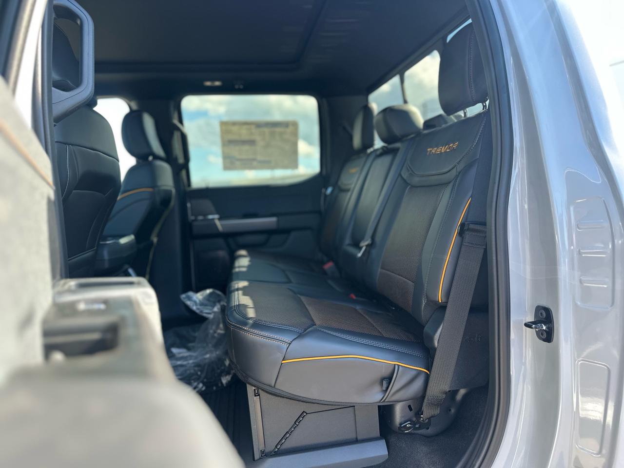 2025 Ford F-150 Tremor 4WD SuperCrew 5.5' Box Photo5