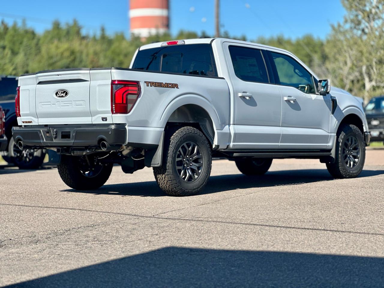 2025 Ford F-150 Tremor 4WD SuperCrew 5.5' Box Photo5
